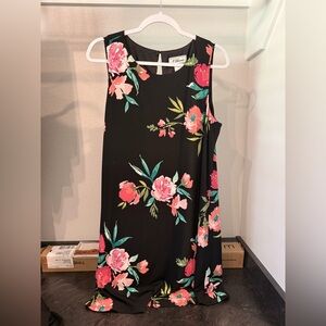 Ladies dress